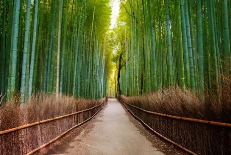 新型环保竹炭板材,装修用竹炭板材