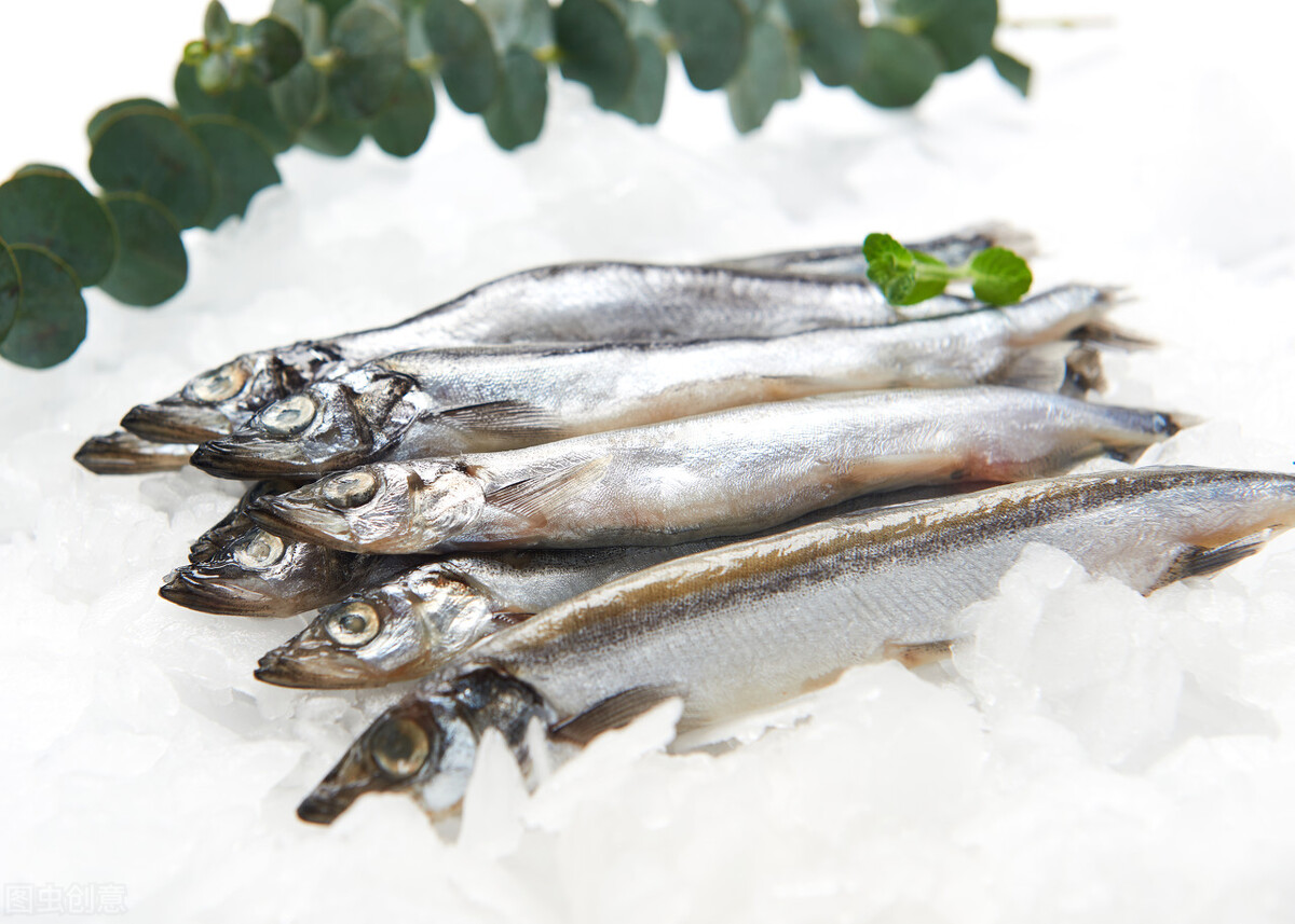 如何辨别海水鱼的公母,淡水鱼和海水鱼有什么区别