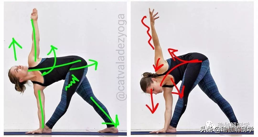 10个最新瑜伽体式正误对比图,瑜伽最容易错的正误对比图