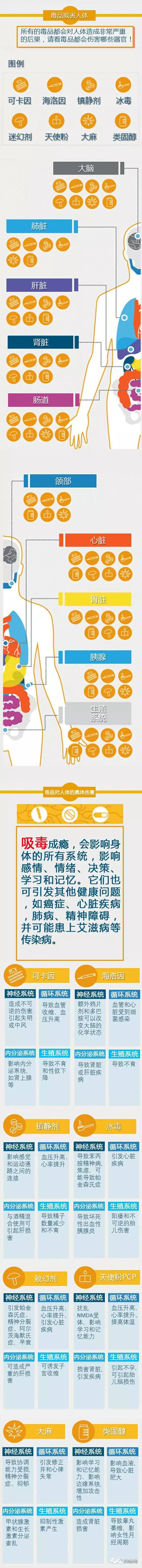 吸毒太严重的人会变成什么样子,吸毒的后果有多大看完你就知道了