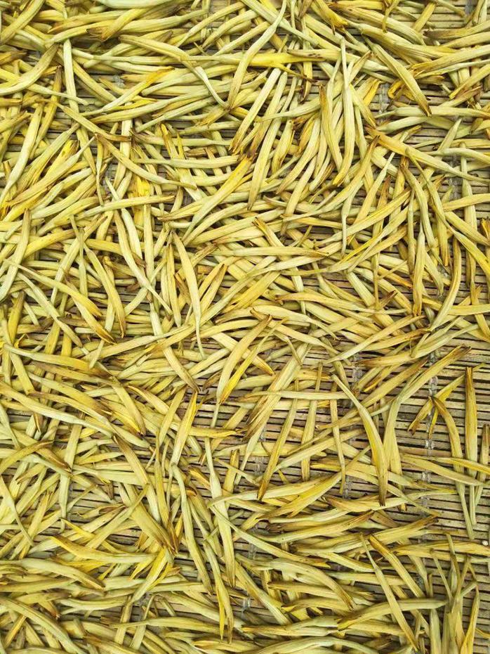 蜀冷肉制品烘干机,蜀冷热泵烘干怎么样