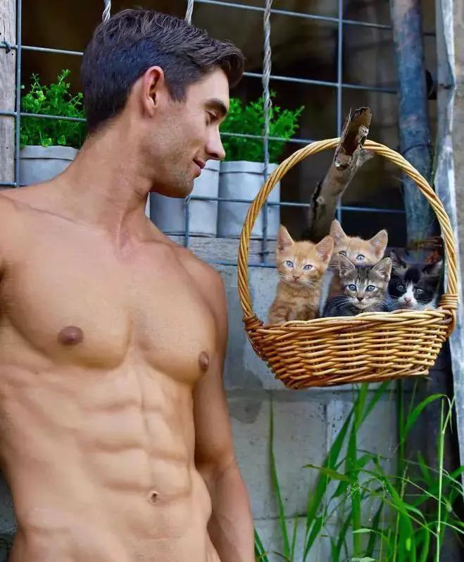 辣到爆的猫片，对不起我要流鼻血了……