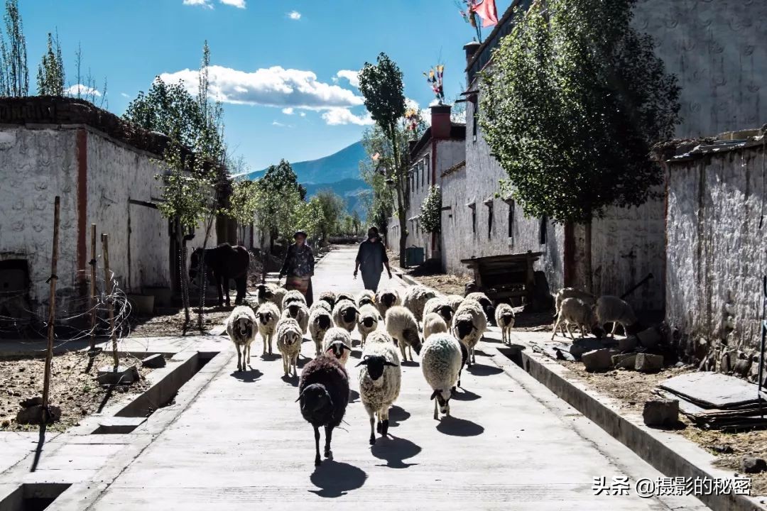 旅行了5年走遍全国各地,爱旅行爱摄影分享旅行心得