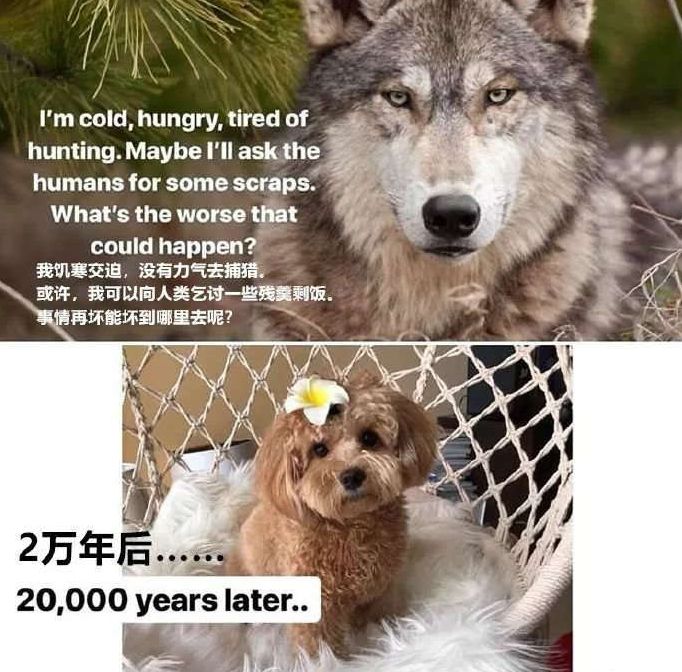 我研究了近20年的泡妹教程|冷段子1404去年今日1094