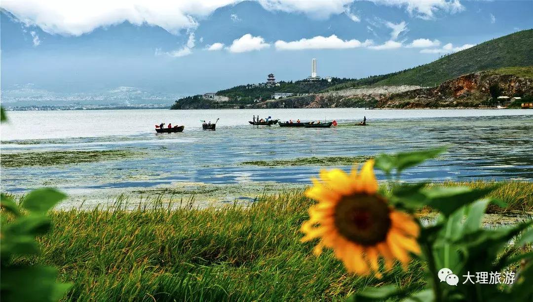 大理洱海两日游攻略,大理洱海一日游最佳攻略图