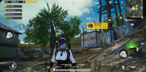 pubgmobilelite亚服,pubg东南亚服和亚服有什么区别