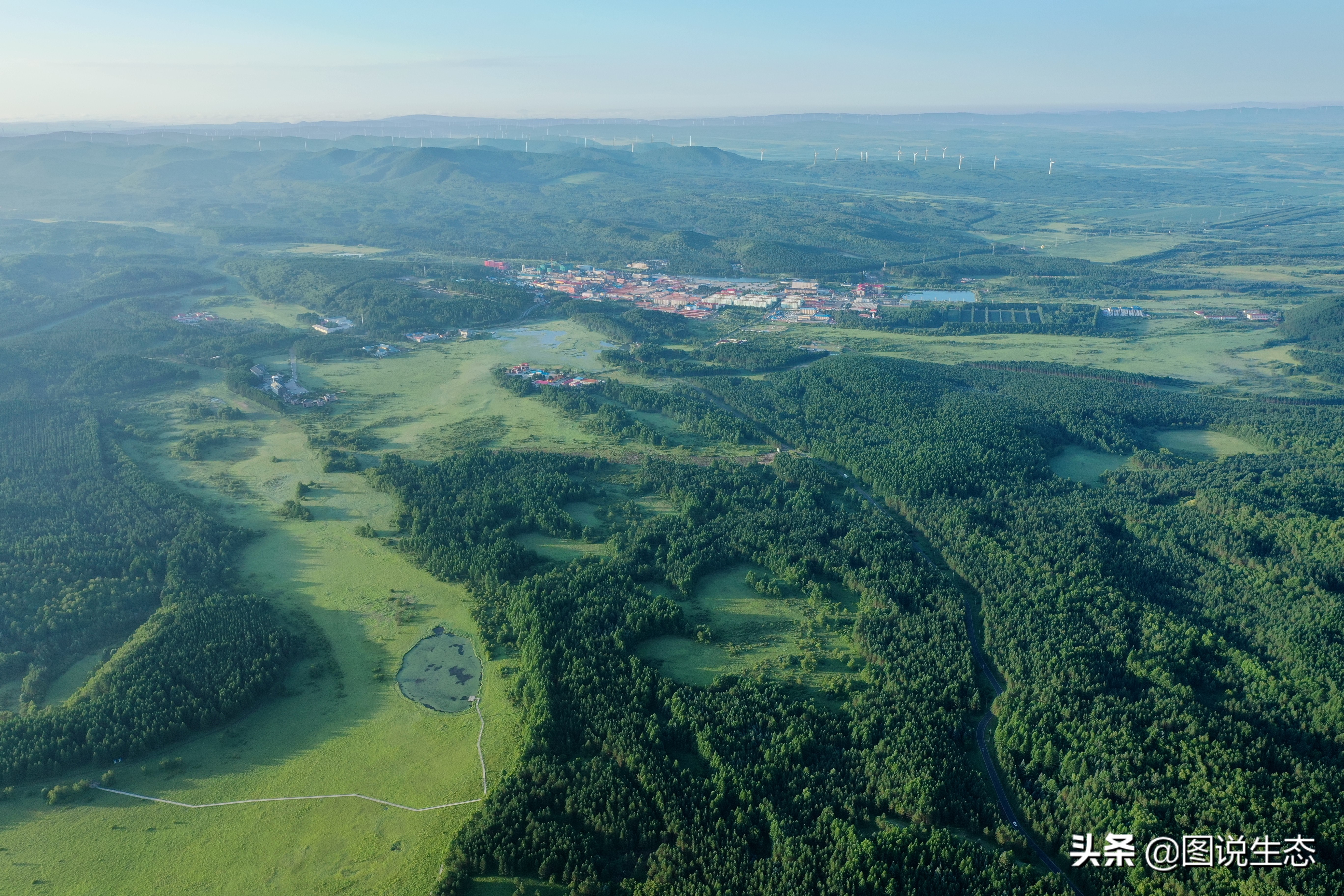 一口气看完塞罕坝全篇,参观塞罕坝有感1000字