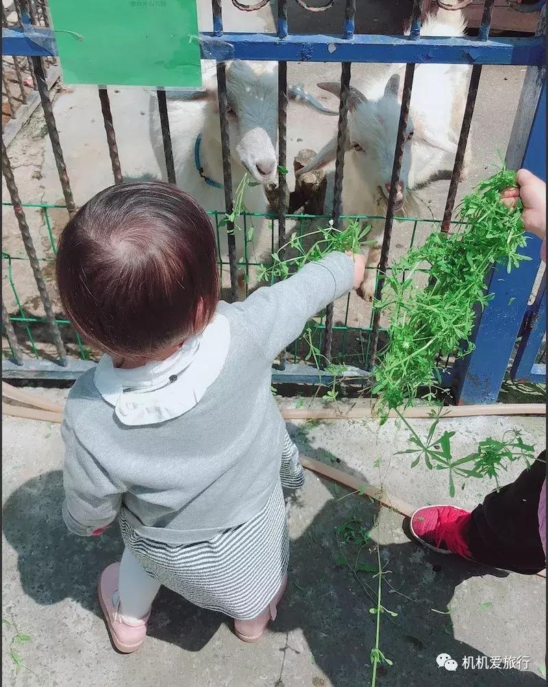 上海2岁宝宝亲子旅游,2岁宝宝两天一夜亲子游攻略