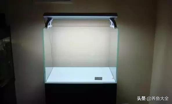 虾爆缸怎么办,极火虾怎么快速爆缸