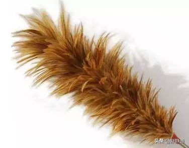 万万没想到，中国人玩剩下的东西现在竟成了世界潮流