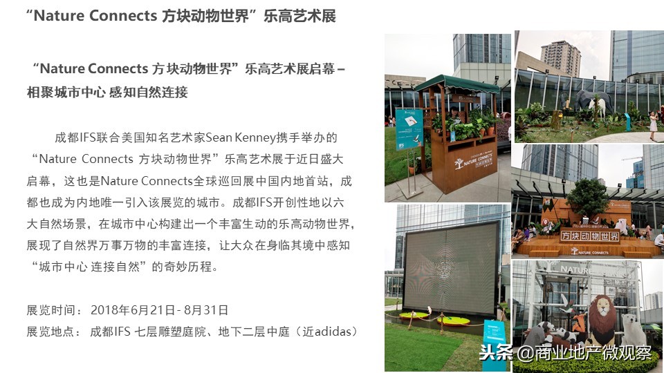 在成都看ifs熊猫,成都ifs上的爬墙大熊猫