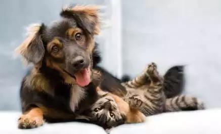 朋友的不同层次的表达,朋友的另外表达方式