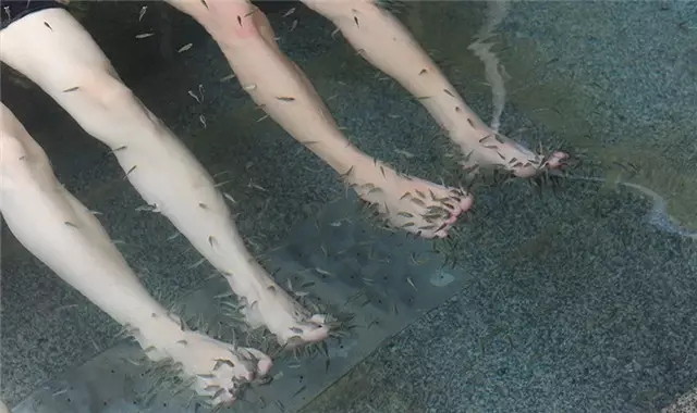 苏州阳山温泉团购,苏州阳山温泉