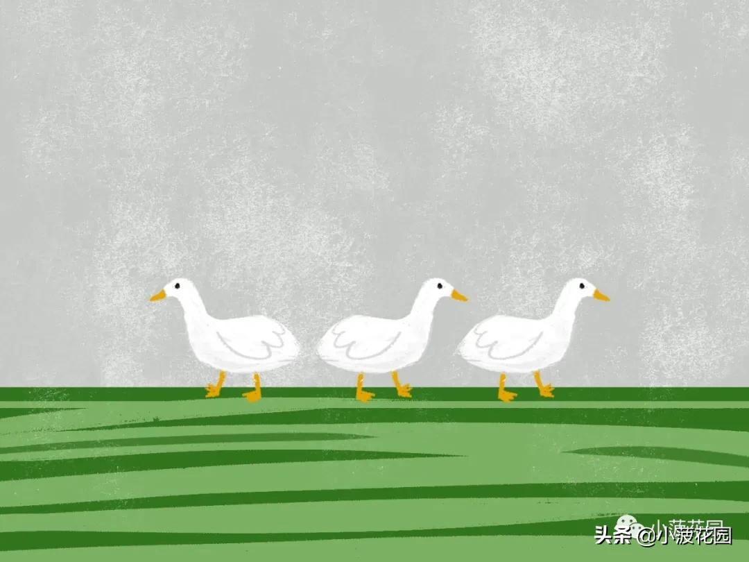 毛主席是运用“形而下”的高手，高高手