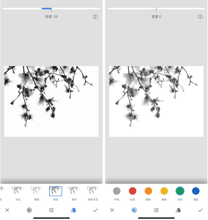 玉兰花下拍摄人像教程,水墨画玉兰花的创作和理念