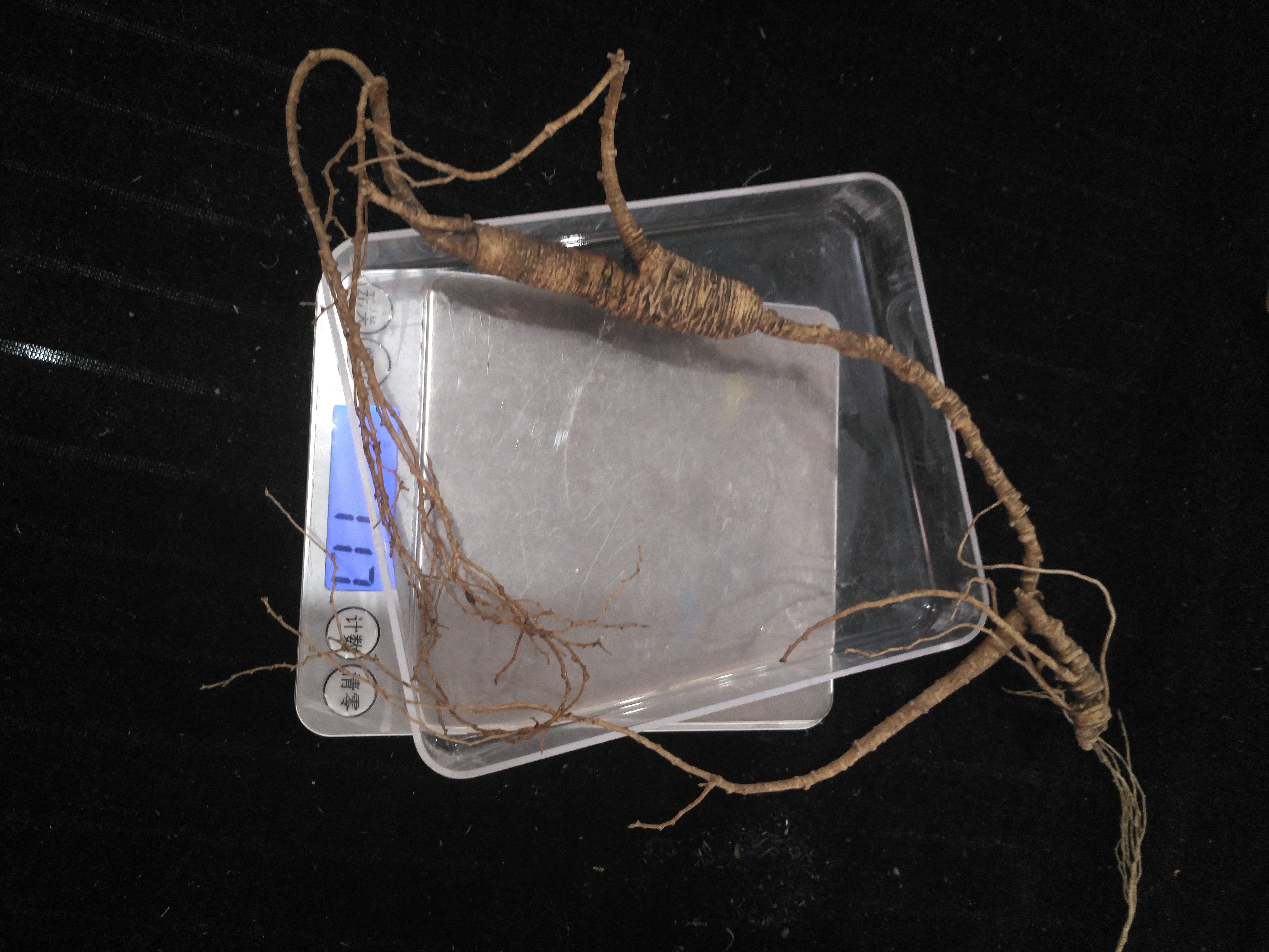 人参怎么吃好吃,人参要怎么吃才是最好的