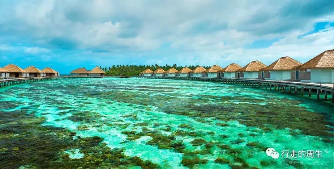 适合浮潜的马尔代夫岛,马尔代夫浮潜岛推荐