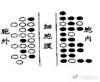 苏教版生物高中必修一课程,苏教版高中生物必修一的全套视频