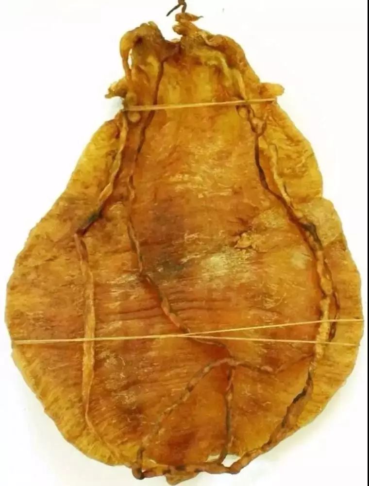 海关查获鱼胶怎么处理,海关查鱼胶