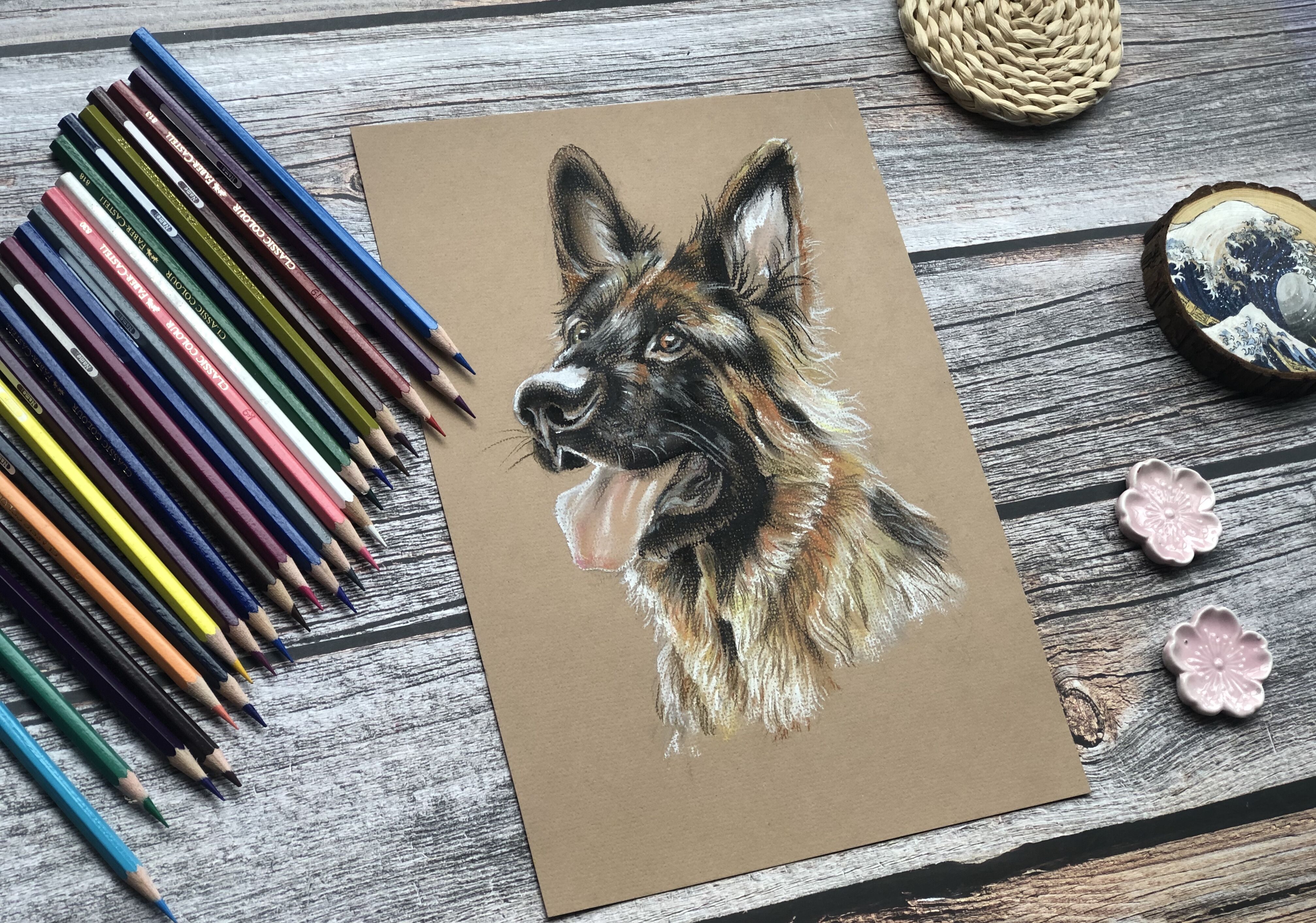 写实彩铅中华田园犬,德牧彩铅画法步骤