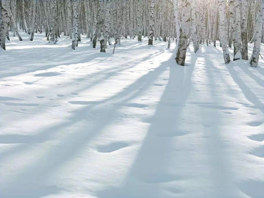 WE+酷窝“创事迹”——“走过全国150+城市，我还是决定创业！”