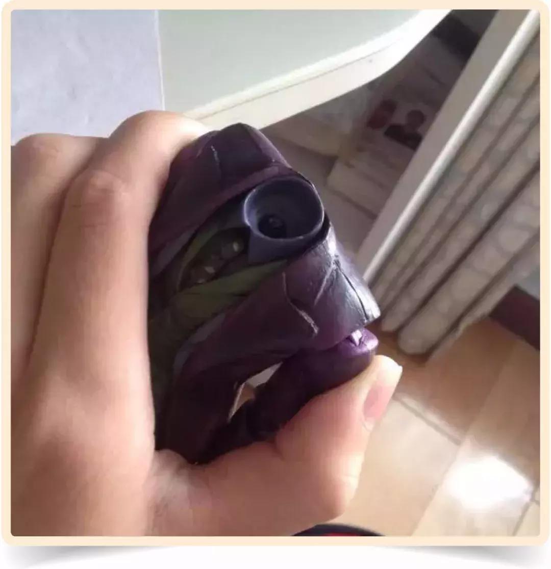 男孩毁了他的手办,亲手毁掉一个二次元手办