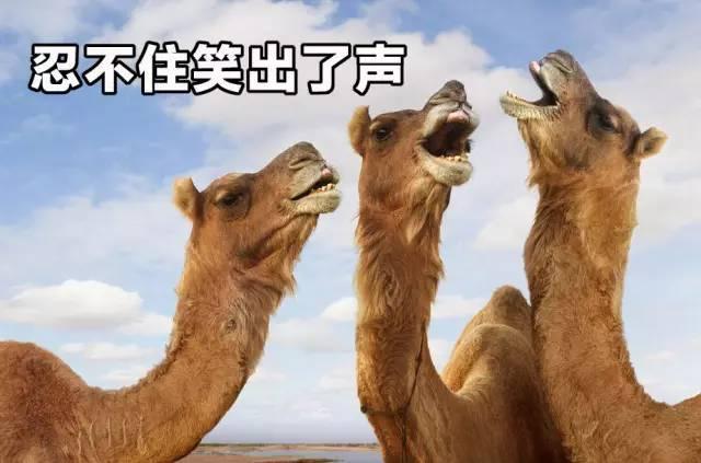 华语乐坛抖音神曲,抖音十大神曲可能否