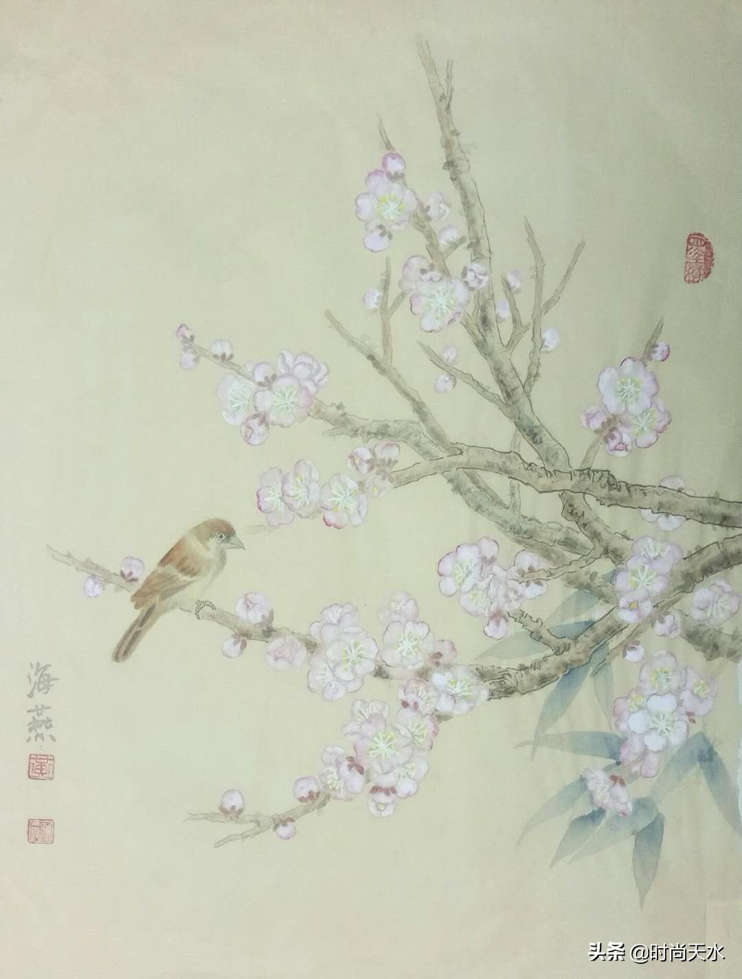 黄海燕牡丹仙子照片,牡丹仙子黄海燕