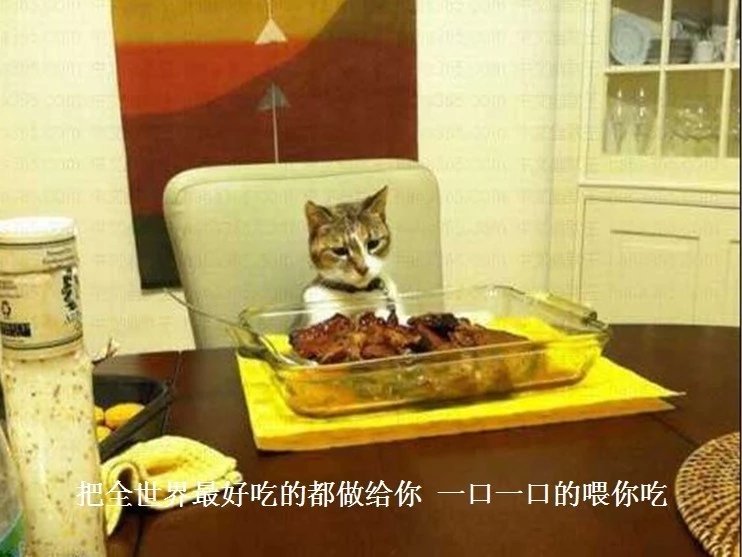 我只想说声爱你,只想再爱你一次