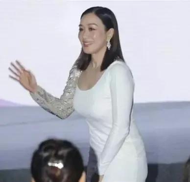 钟丽缇47岁试管婴儿,钟丽缇做试管经历