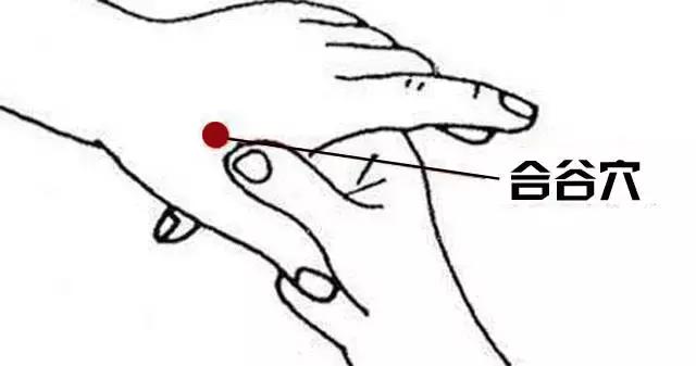 容易感冒提高免疫力的穴位,三伏天增强免疫力穴位