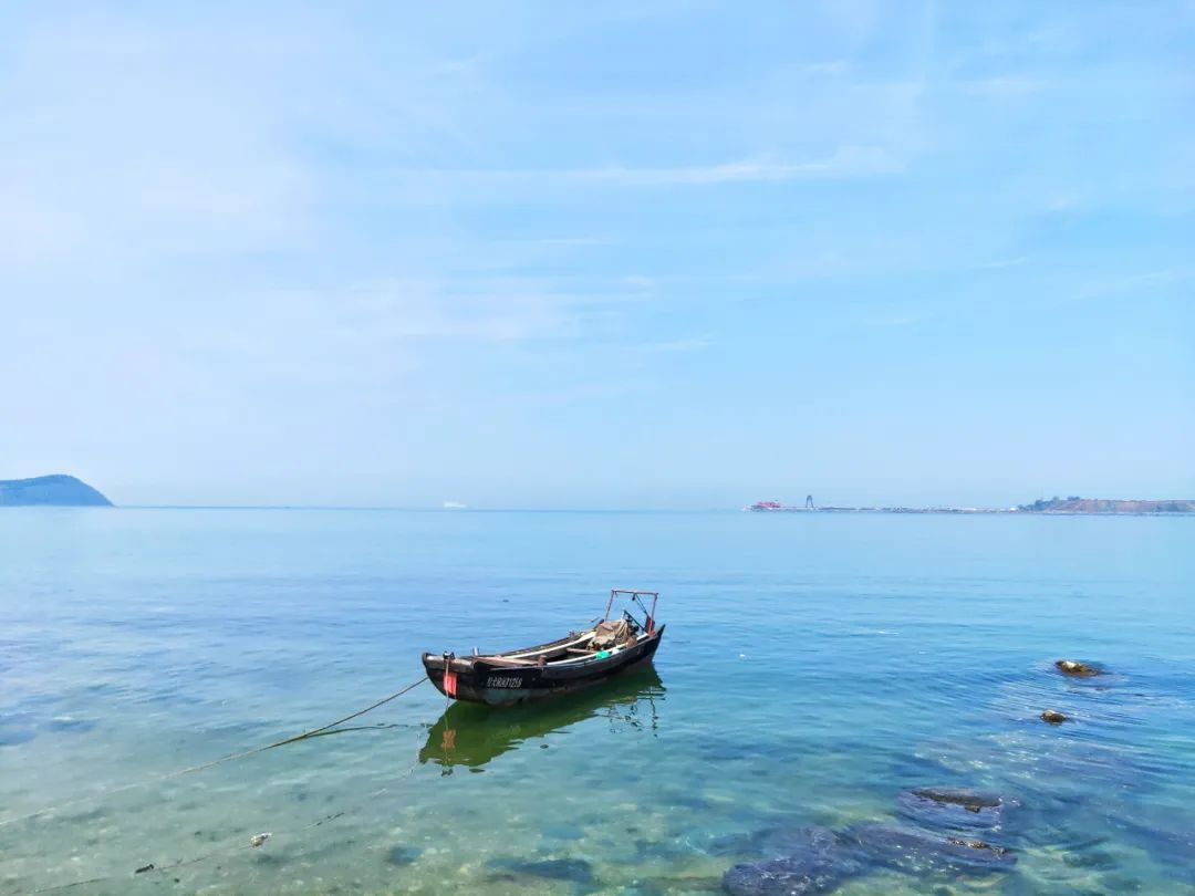 2022春节大连本命年免费景点,大连免费景点排行榜前十名