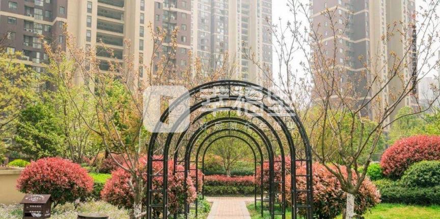 仙林湖哪个小区湖景最好,南京仙林湖值得买房的房源