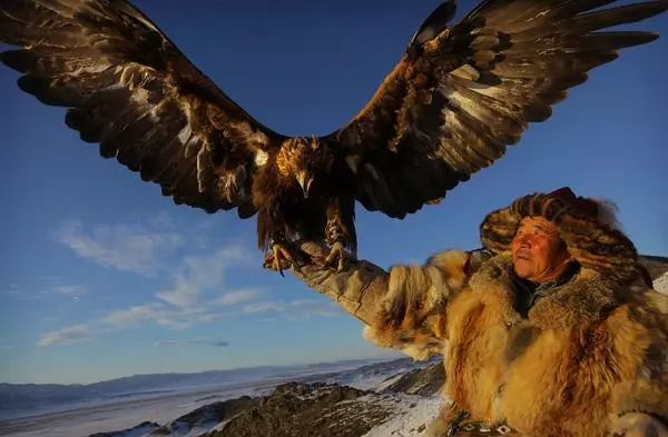 BBC最棒8部纪录片，强烈推荐孩子暑假看