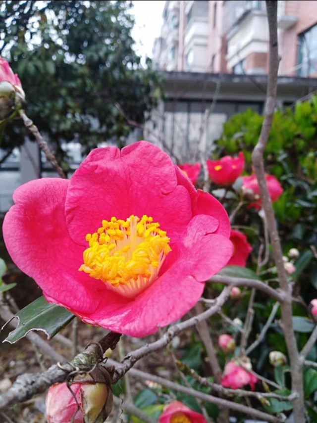 杩欎釜浜哄鎴戞潵璇村緢閲嶈浣滄枃,杩欎釜浜哄鎴戞潵璇村緢閲嶈鑻辫