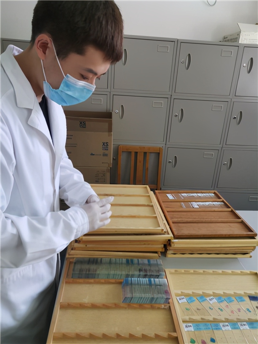 病理讲解视频全集,病理学讲解详细视频