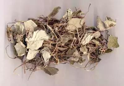 中药学利水渗湿讲解视频,利水渗湿药讲解视频