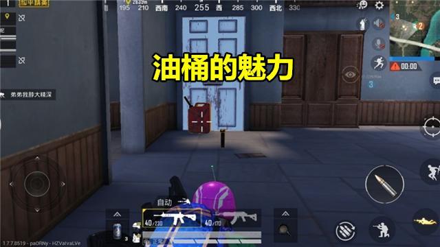 玩家荣获光子认证吃鸡大神,被光子认证吃鸡大神有什么用