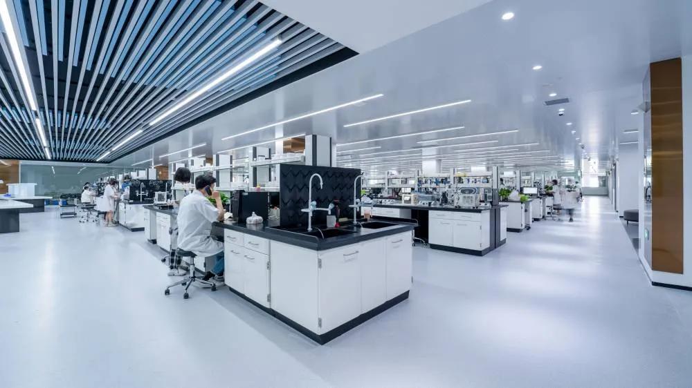 头条专访|芭薇市场总监杨红华:成为高端国货品牌的坚强后盾