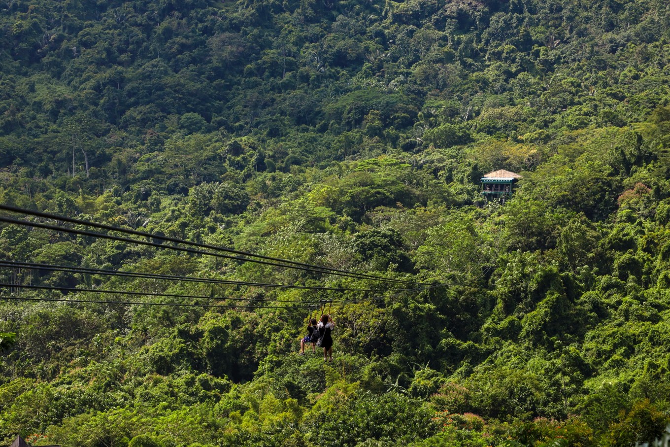 呀诺达雨林探险是什么,三亚呀诺达雨林正规吗