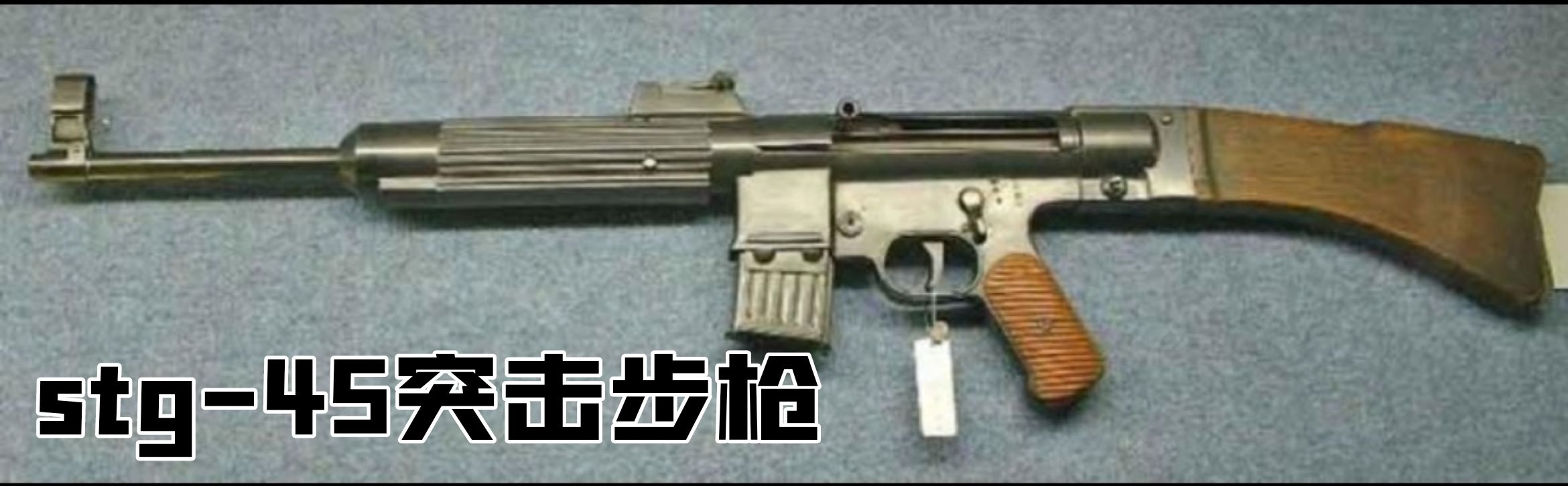 英国枪史图册全篇,德国枪图片