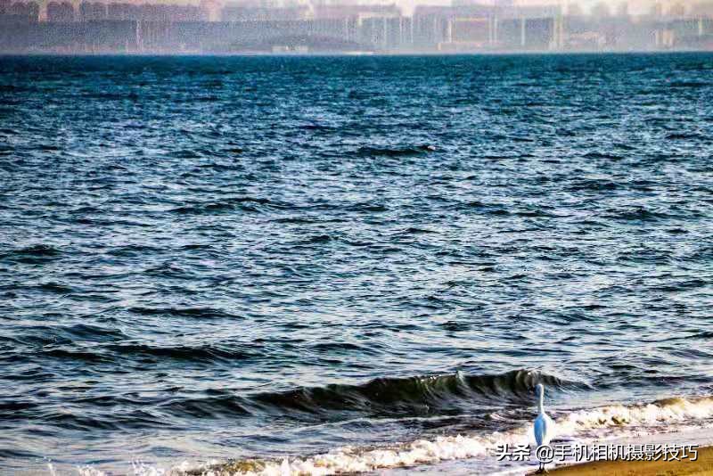 如何解决照片拍不好,怎么拯救拍得不太好的照片