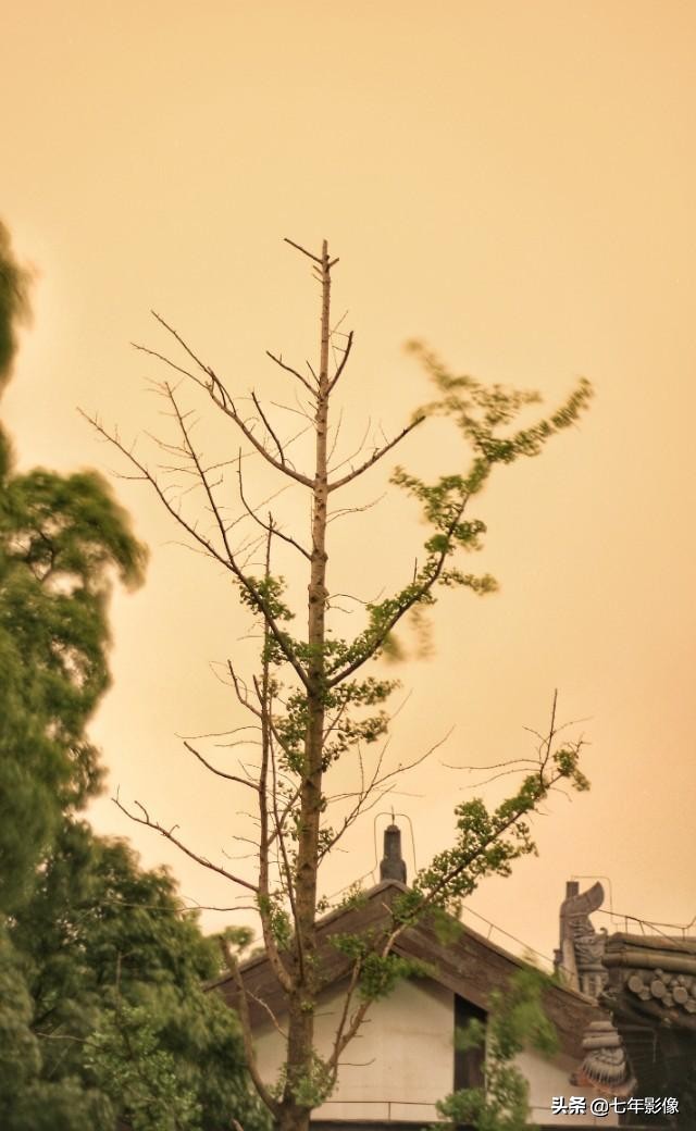 佳能70d和50mm哪个好用,佳能70d焦段