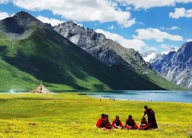 它们冷门，可却是如此幽静美丽