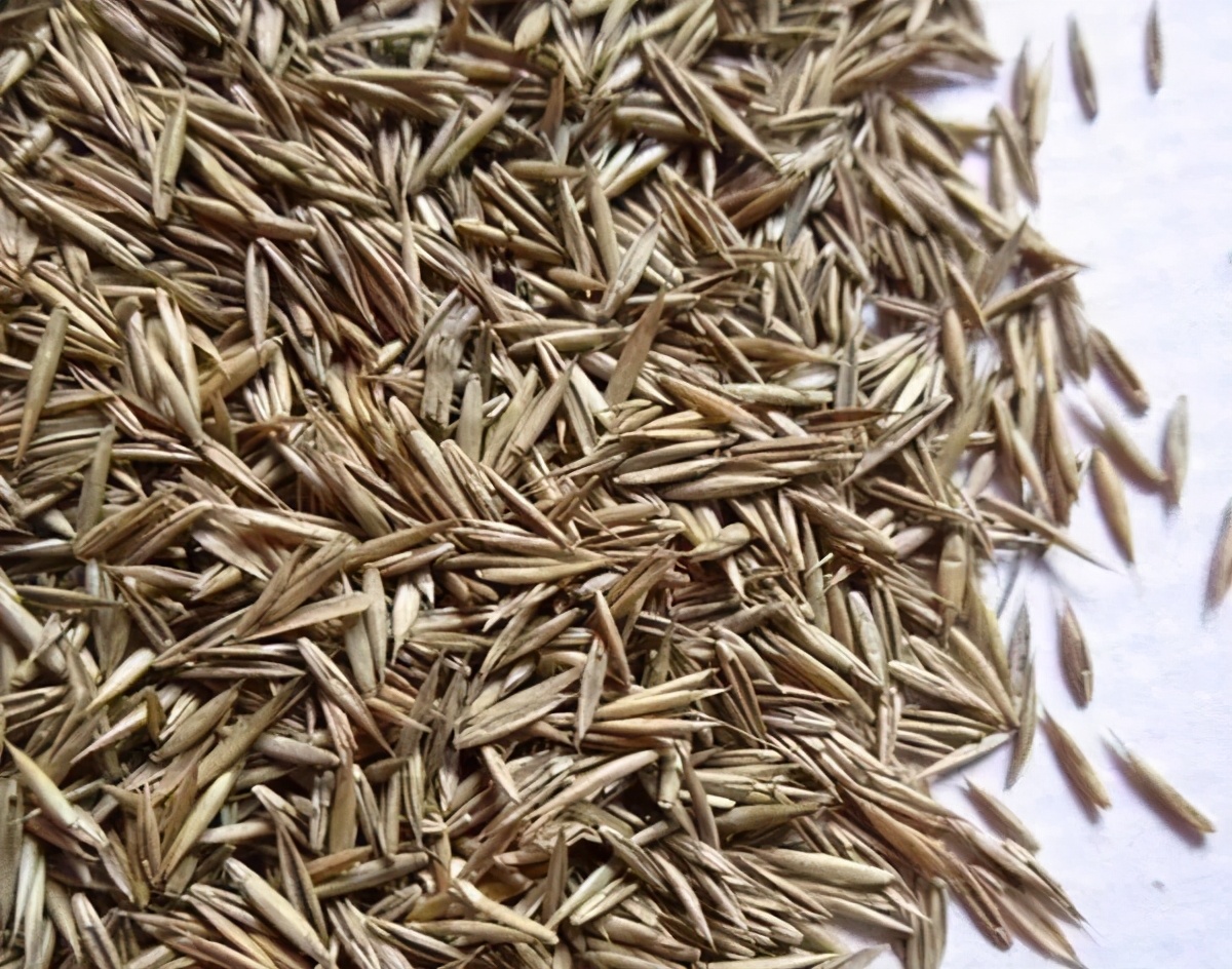 草皮交易平台,草坪交易