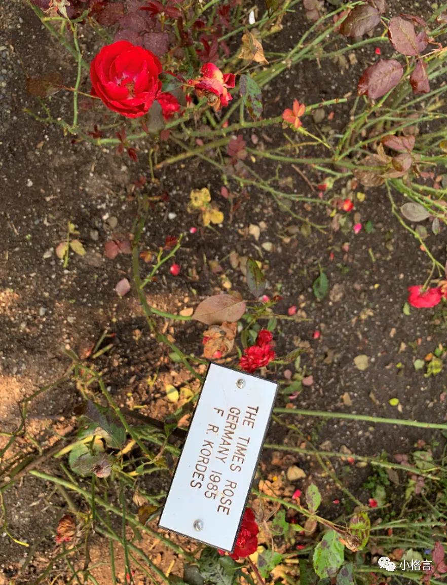 维多利亚著名的花园,维多利亚旅行攻略