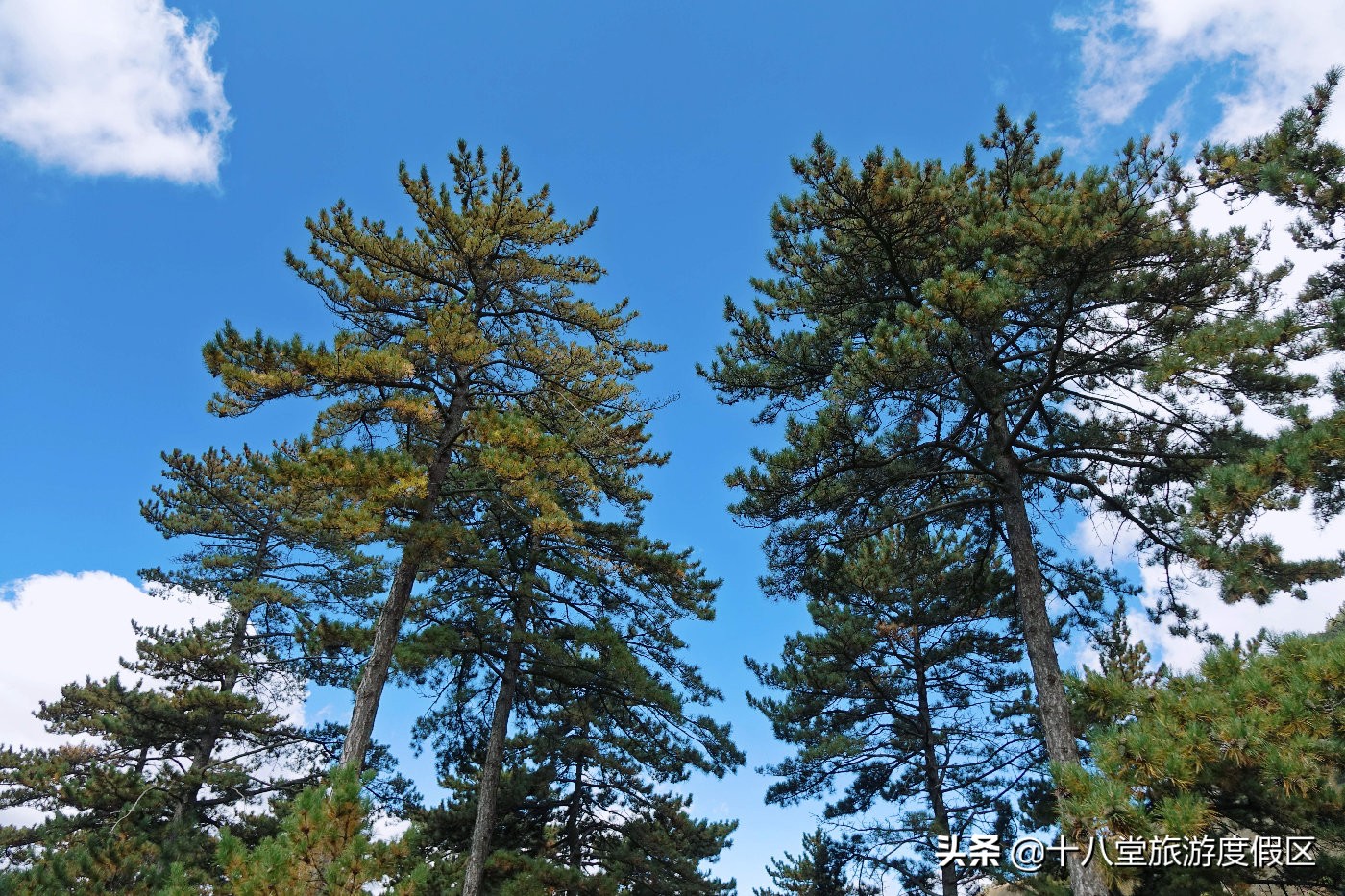 张家口有什么峡谷,张家口有什么大峡谷