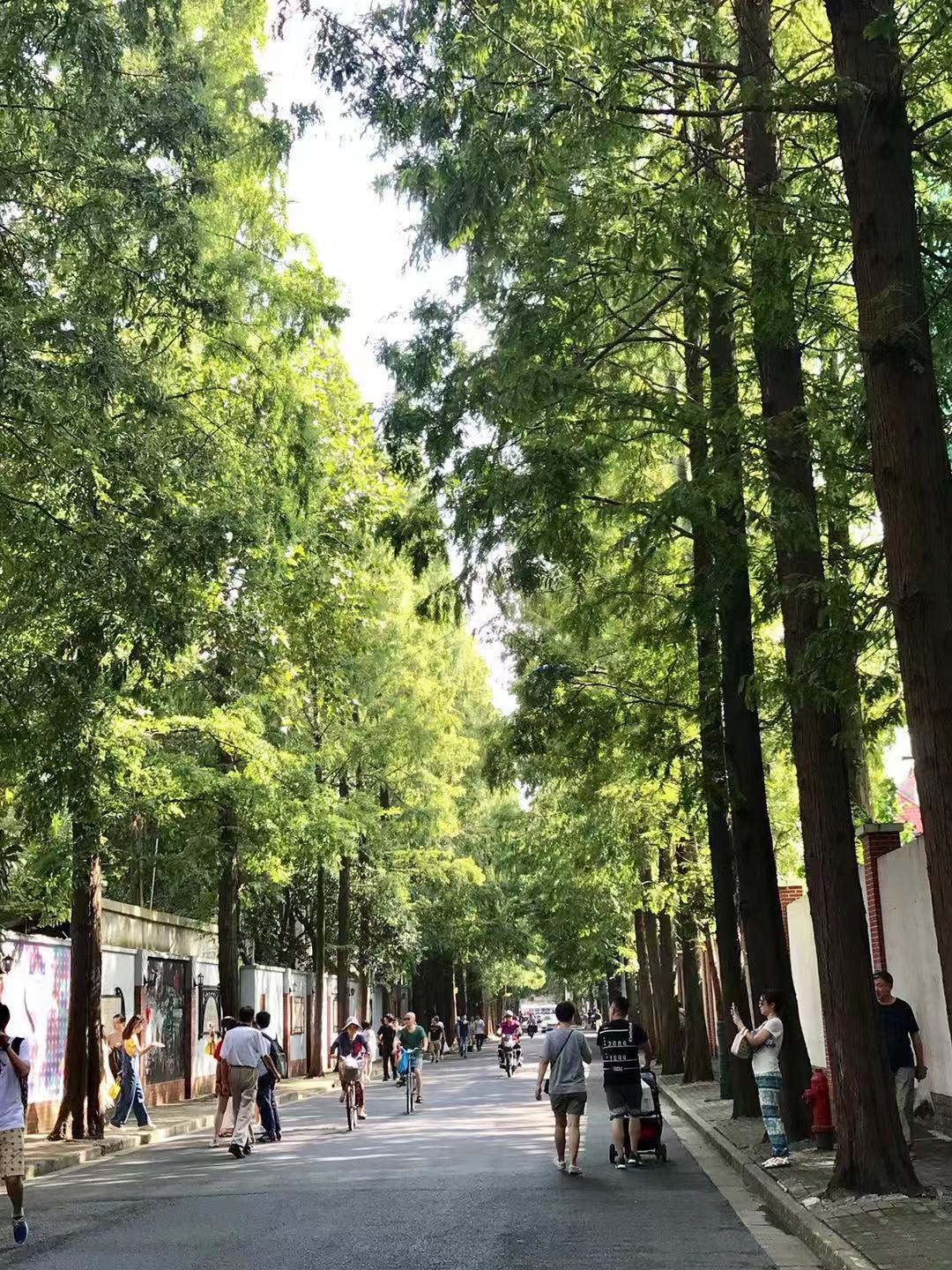 上海魔都假期攻略,上海魔都攻略