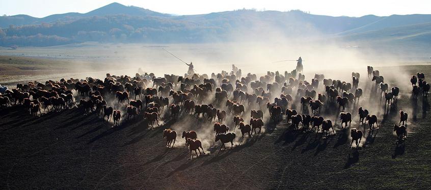 最杰出的音乐家,一位优秀钢琴老师的特征