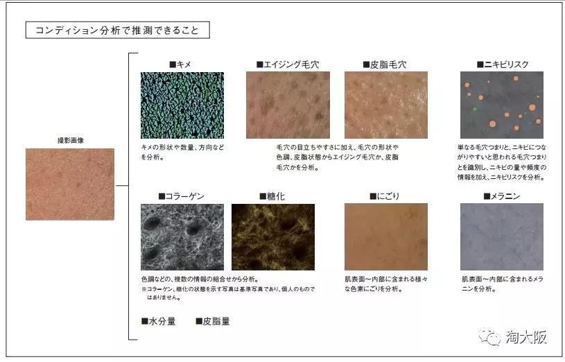 pola全部产品,pola哪个系列最好